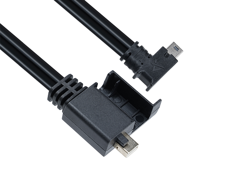DisplayPort Adapter Cable